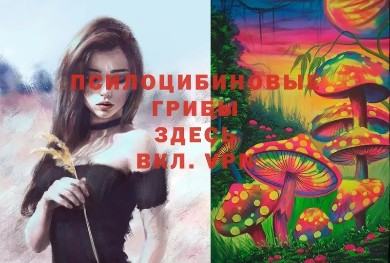 ссылка на мегу онион  Белоярский  Псилоцибиновые грибы Psilocybe  купить  цена 